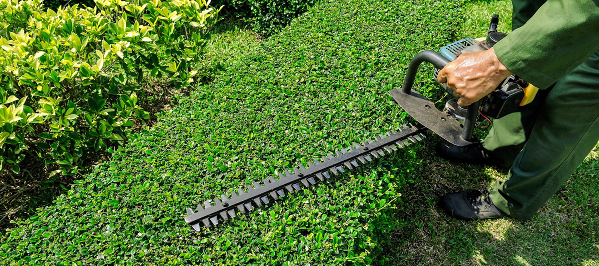 EDGING/SHEARING