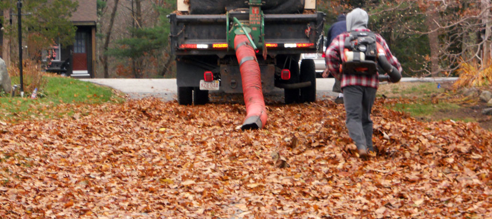 LEAF REMOVAL